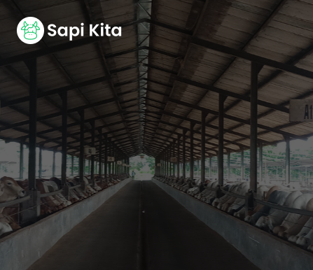 Tentang Kami: Sapi Kita
