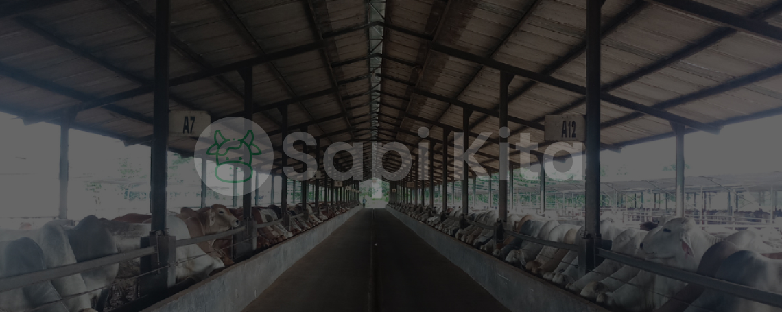 Thumbnail video tentang kami